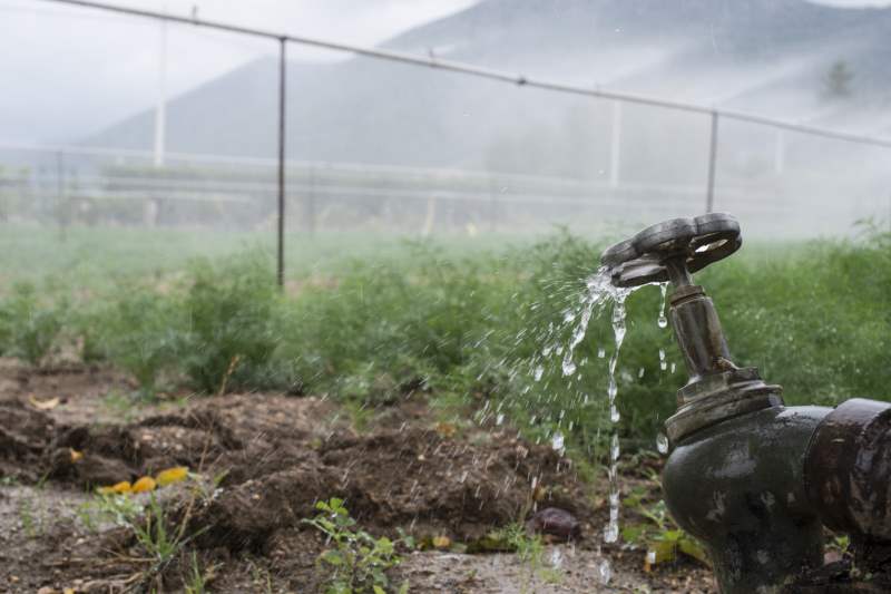 Philadelphia Stormwater Charge: Community Garden Discount